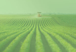 différents types d'agriculture