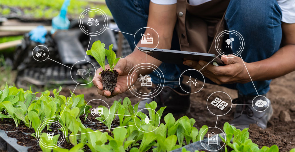 capteurs IoT agricoles